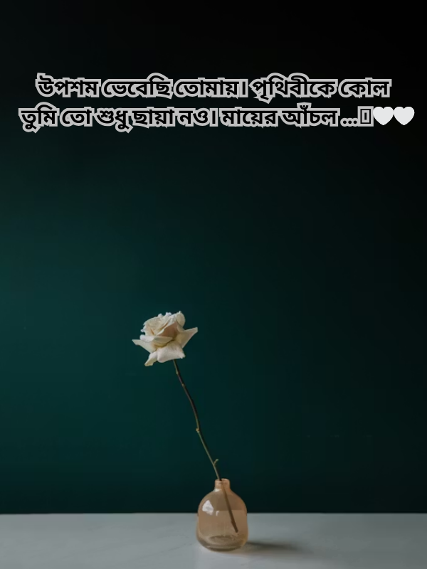 উপশম ভেবেছি তোমায়। পৃথিবীকে কোল তুমি তো শুধু ছায়া নও। মায়ের আঁচল …🩵🤍🤍.png