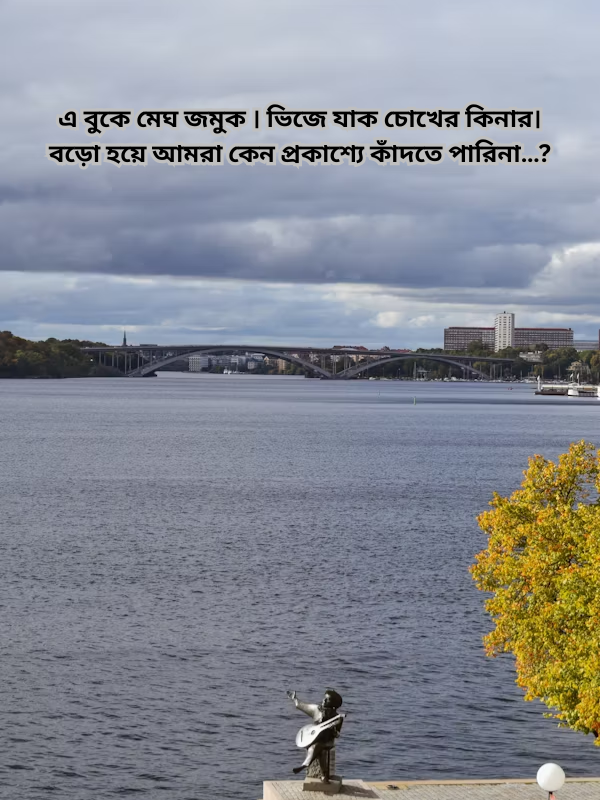 এ বুকে মেঘ জমুক । ভিজে যাক চোখের কিনার। বড়ো হয়ে আমরা কেন প্রকাশ্যে কাঁদতে পারিনা….png