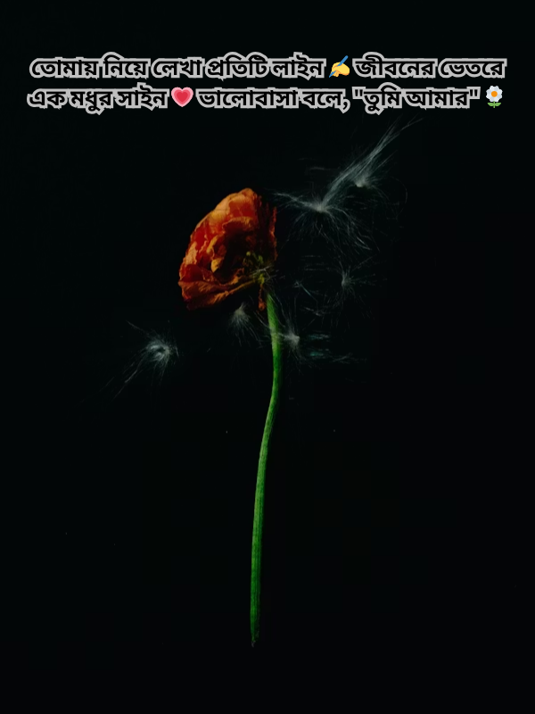 তোমায় নিয়ে লেখা প্রতিটি লাইন ✍️ জীবনের ভেতরে এক মধুর সাইন 💗 ভালোবাসা বলে, তুমি আমার 🌼.png