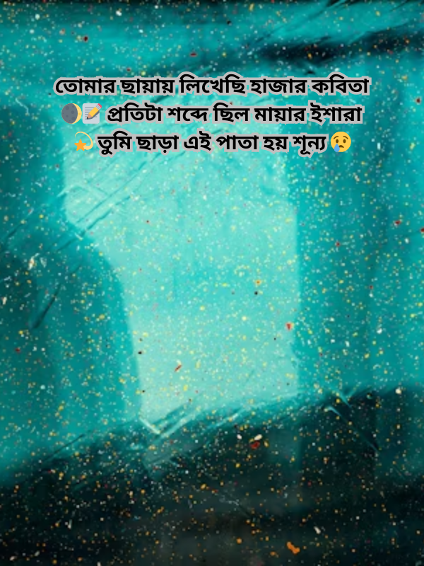 তোমার ছায়ায় লিখেছি হাজার কবিতা .png