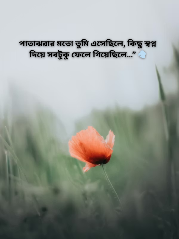 পাতাঝরার মতো তুমি এসেছিলে, কিছু স্বপ্ন দিয়ে সবটুকু ফেলে গিয়েছিলে…” 💨.png