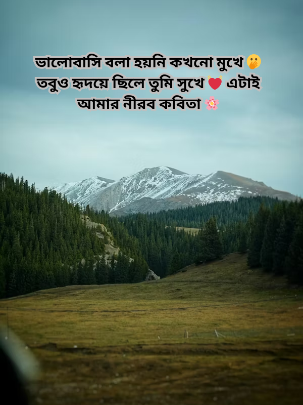 ভালোবাসি বলা হয়নি কখনো মুখে 🫢 তবুও হৃদয়ে ছিলে তুমি সুখে 💓 এটাই আমার নীরব কবিতা 🌸.png