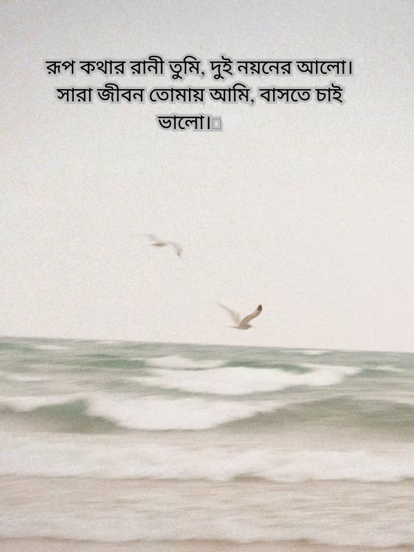 রূপ কথার রানী তুমি, দুই নয়নের আলো।.png