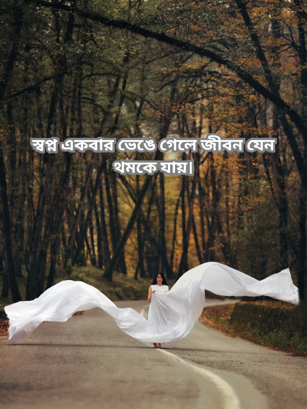 স্বপ্ন একবার ভেঙে গেলে জীবন যেন থমকে যায়।.png