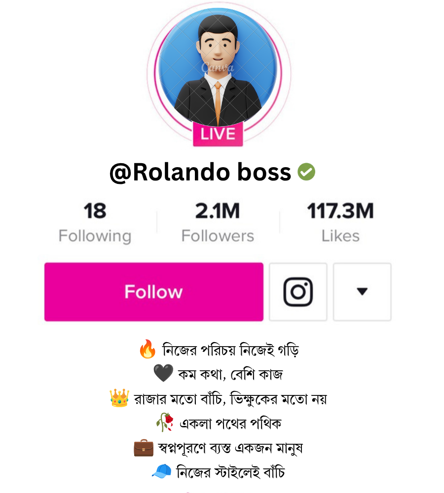 ছেলেদের জন্য Instagram Bio Bangla
