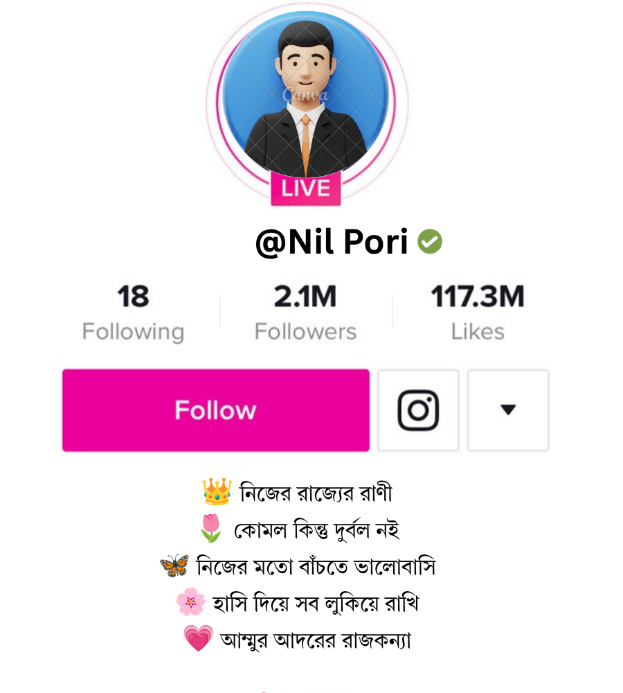 মেয়েদের জন্য Instagram Bio Bangla