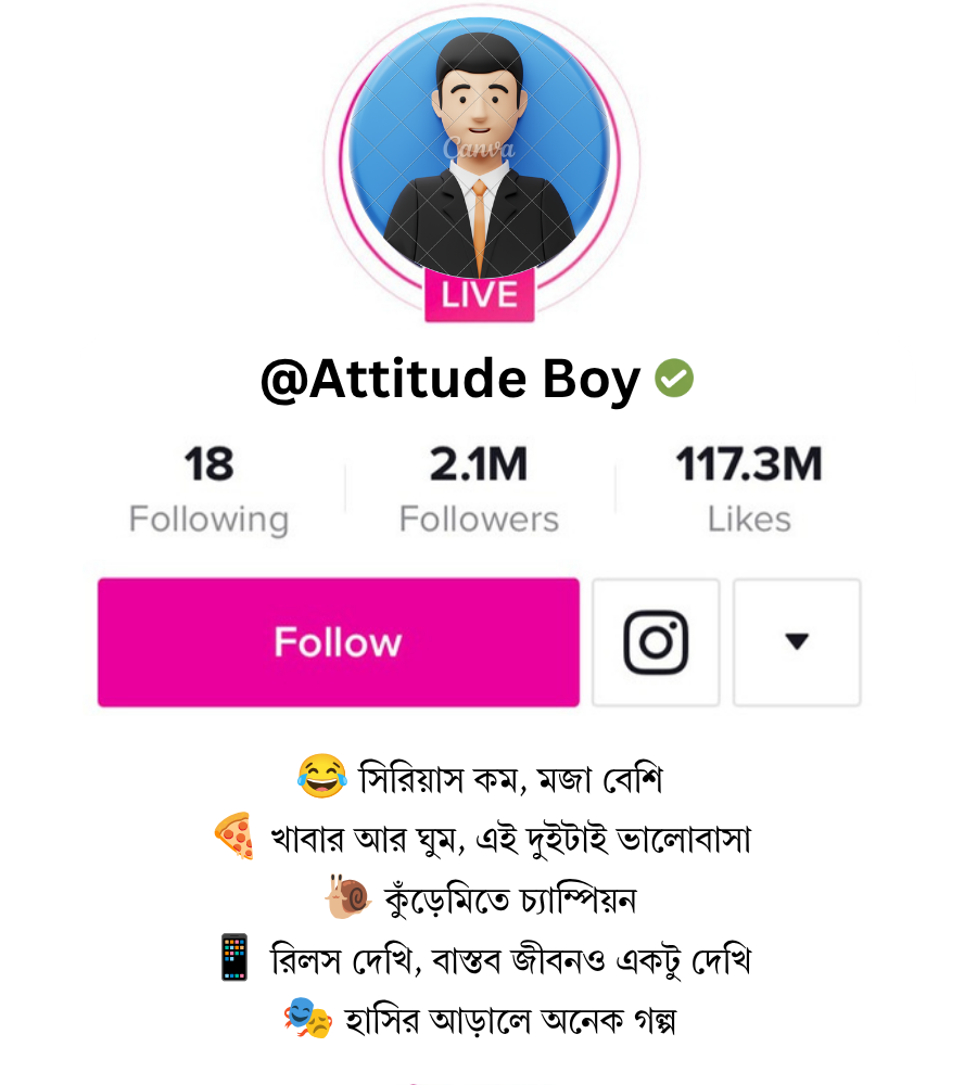 স্টাইলিশ ও ফানি ইন্সটাগ্রাম বায়ো