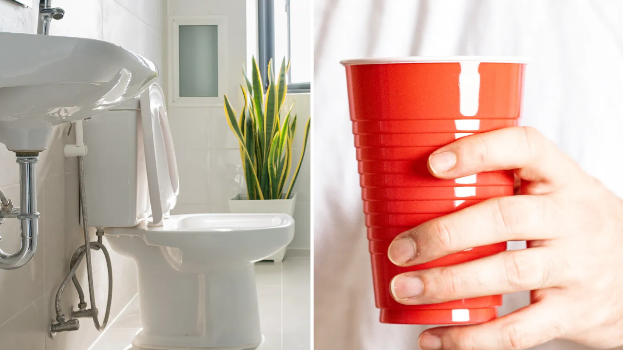 How To Unclog a Toilet Without a Plunger with Household Items