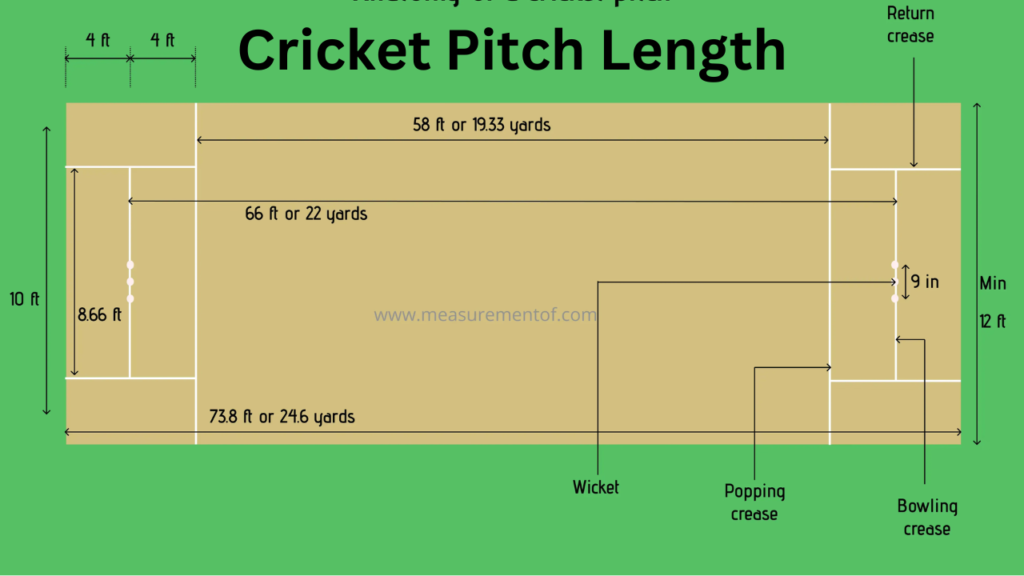 Cricket Pitch Length: Standard Dimensions Explained
